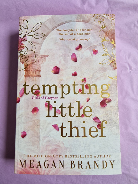Tempting Little Thief by Meagan Brandy Book Box